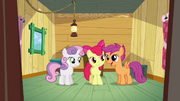 S03E4 Scootaloo opowiada Babs Seed o ich klubie.png