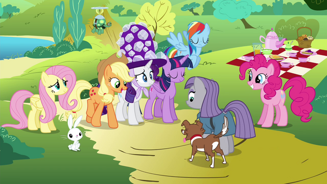 File:Applejack introduces Winona to Maud S4E18.png