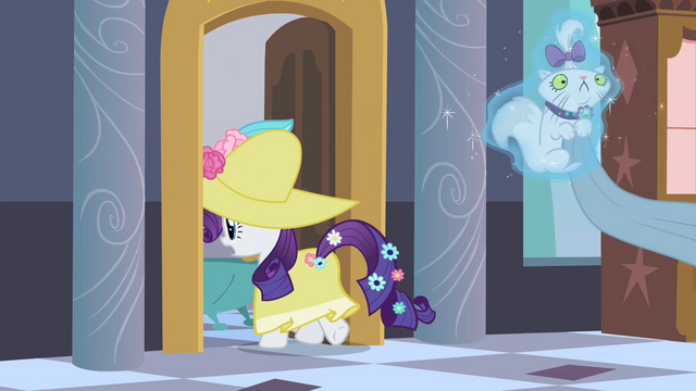 File:Rarity levitating Opalescence to bathroom S2E09.png