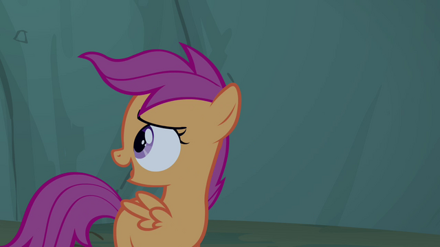 File:Scootaloo 'I just love camping and hanging out' S3E06.png