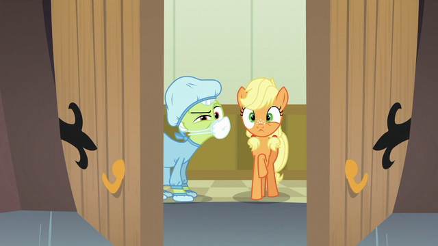 File:Applejack and Granny Smith enter surgery theater S6E23.png