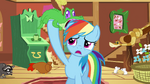 Gummy on Rainbow Dash's mane S03E13.png