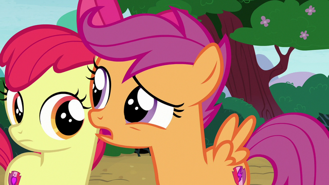 File:Scootaloo "about the dog?" S7E6.png