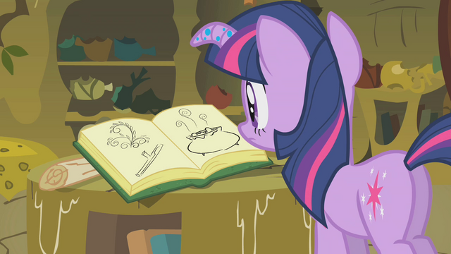 File:Twilight looking at Zecora's book S1E09.png