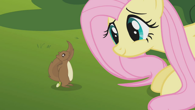 File:Embarrassed squirrel S1E10.png