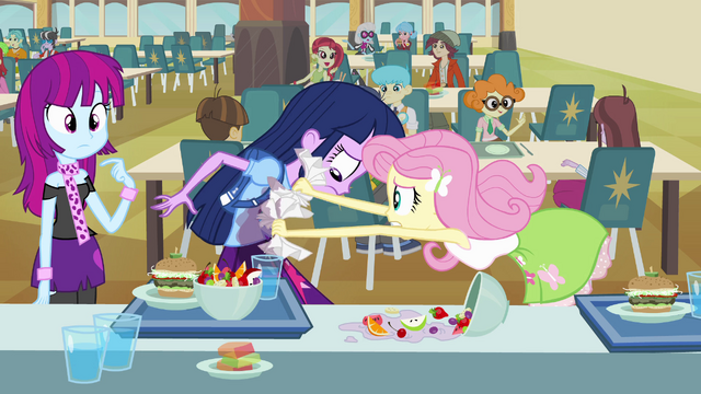 File:Fluttershy cleaning Twilight's shirt EG.png
