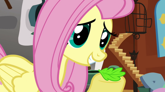 File:Fluttershy leaf S02E19.png