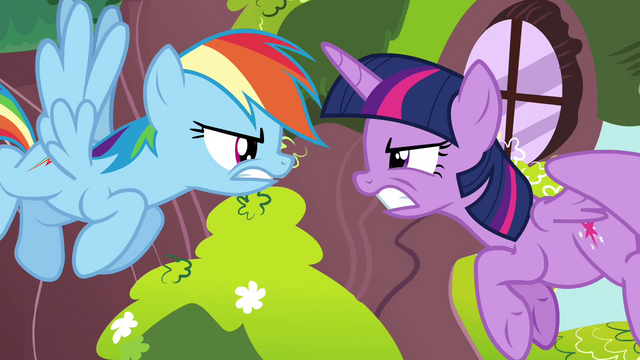 File:Rainbow and Twilight angry at each other S4E21.png