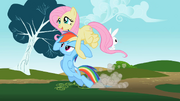 Rainbow Dash being dragged by Fluttershy S2E07
