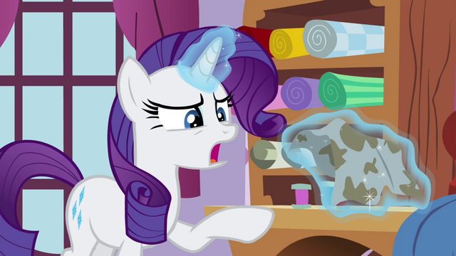File:Rarity levitating the dishtowel S4E18.png