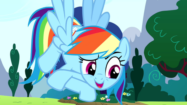 File:Rainbow Dash "it's my birth-iversary" S4E12.png