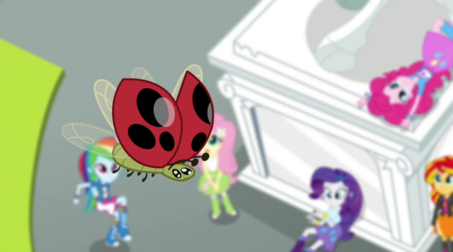 File:Ladybug closeup EG2.png