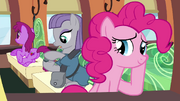S04E18 Pinkie i Maud w pociągu.png