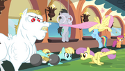 Delegação de Ponyville treinando T4E24.png