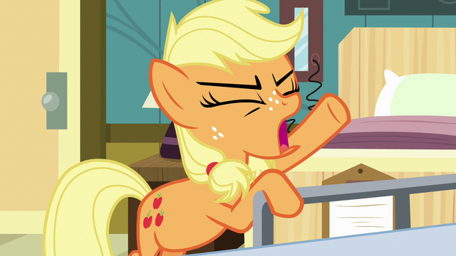 File:Applejack "please just listen to me for once!" S6E23.png