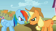 Rainbow Dash and Applejack being competitive S01E13.png