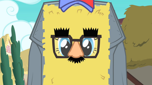 File:Pinkie Pie's disguise from Fluttershy's perspective S1E25.png