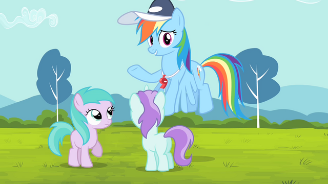 File:Rainbow '... go coach these other ponies!' S4E05.png
