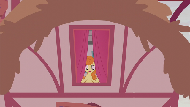 File:Golden Harvest frightened S5E25.png