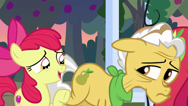 File:Apple Bloom "learnin' all about Mom and Dad" S7E13.png