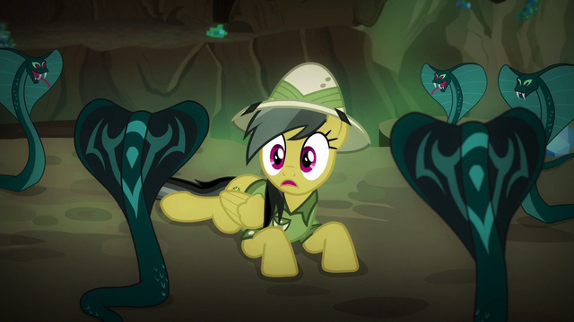 File:Daring Do shocked S6E13.png