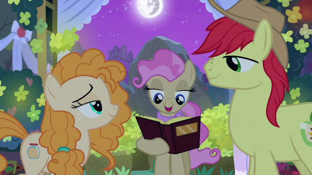 File:Mayor Mare officiates Mac and Butter's union S7E13.png