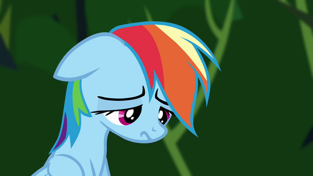 File:Rainbow Dash dejected S4E04.png