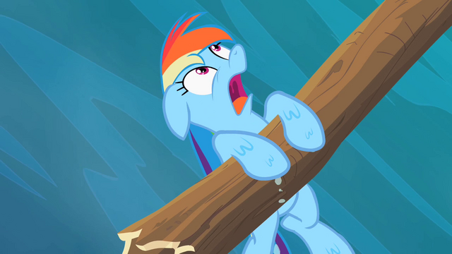 File:Rainbow Dash you! S2E8.png