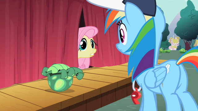 File:Fluttershy curtain tortoise S2E07.png