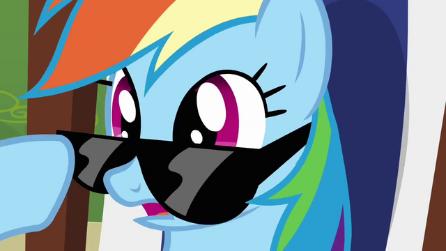 File:Rainbow Dash lifting glasses S3E3.png