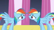 Rainbow Dash and clone mirroring each other S2E26.png