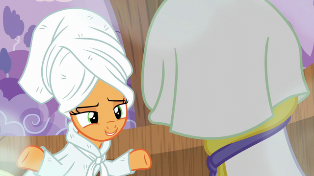 File:Applejack 'Right?' S6E10.png