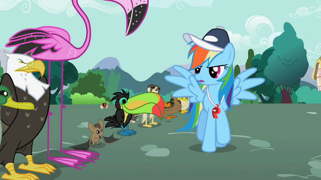 File:Rainbow Dash's Speech S2E7.png
