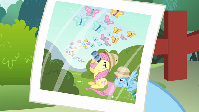 File:Butterfly migration photo S2E21.png