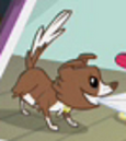Winonapuppy.png