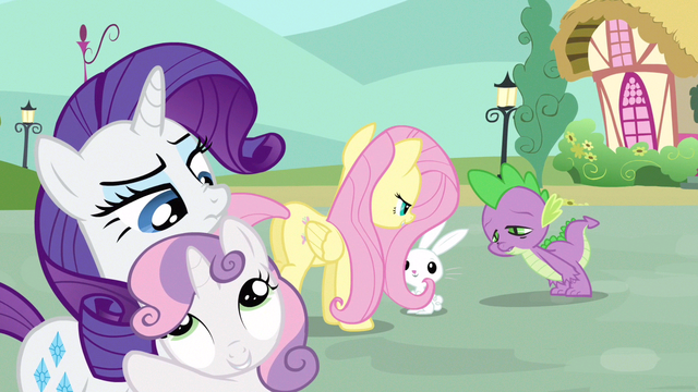 File:Rarity I believe you S3E11.png