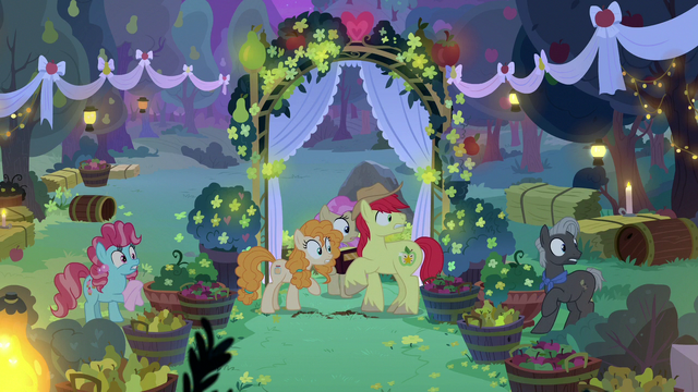 File:Mac, Butter, and wedding participants hear Granny Smith S7E13.png