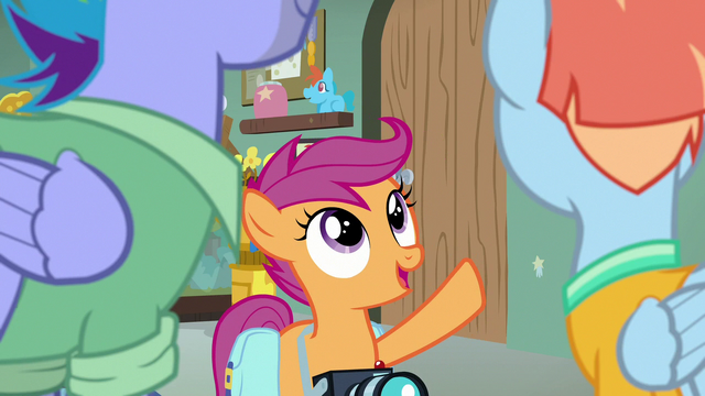 File:Scootaloo "the Rainbow Dash you know" S7E7.png