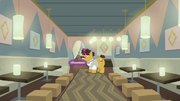 Coriander atendiendo el nuevo Tasty Treat T6E12