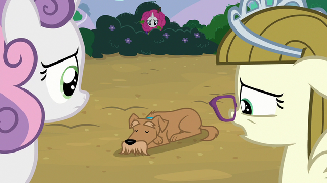 File:Zipporwhill "it's just hard for me to believe" S7E6.png