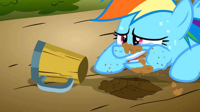 File:Rainbow Dash desperate S2E15.png