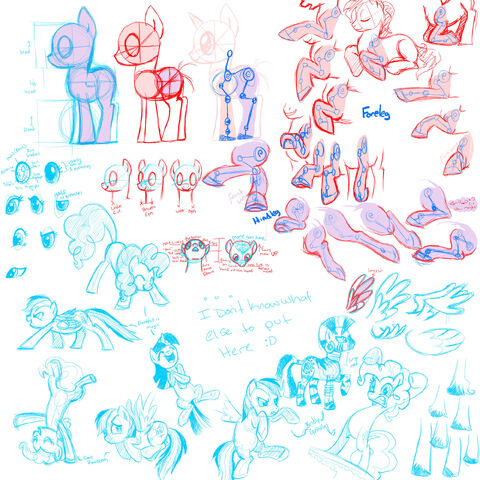 File:Pony anatomy drawing guide.jpg