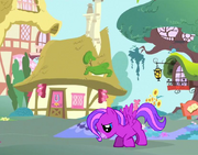 Filly Zoey