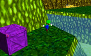 SafariForest