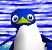 4D Penguin