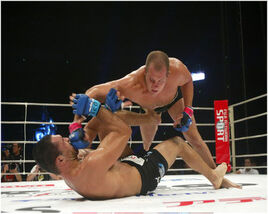 Fedor nogueira fight
