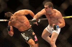 Machida shogun fight-610x401