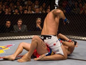 Werdum vera