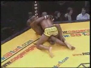 Stout silva