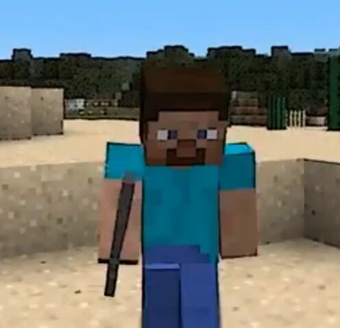 File:Bigsteve.jpg